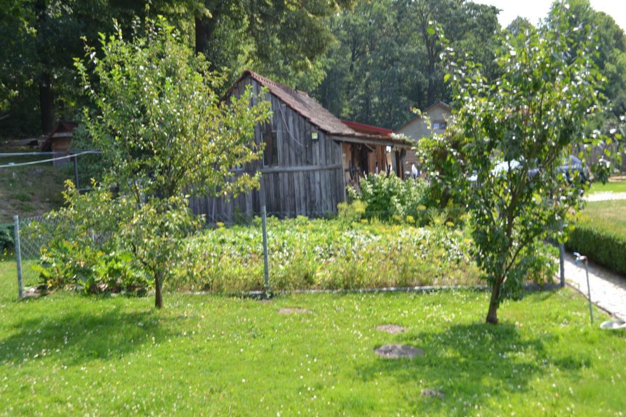 Agroturystyka Burylowka Osiecznica Bagian luar foto